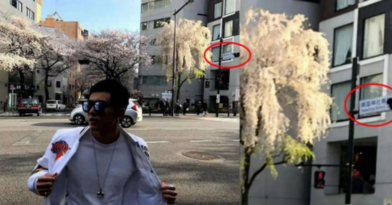 电鳗？海狗丸？*国靖**鬼社？明星塌房，贵圈真乱