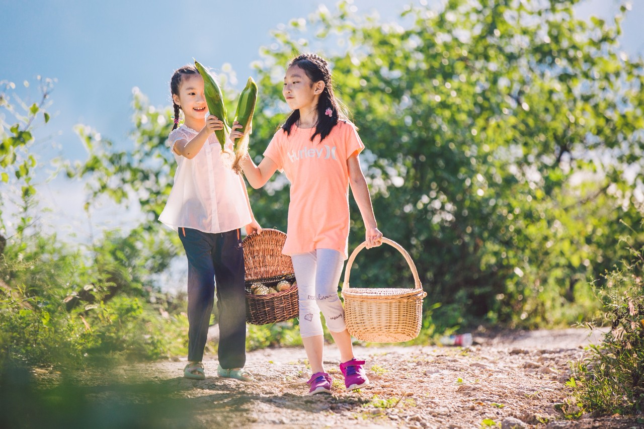 山野自然酷虫酷玩，玉米娃娃，一场自然与艺术融合的秋日盛宴