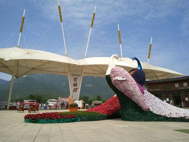 李子柒是四川绵阳平武哪里的人,美食旅游景点推荐博主