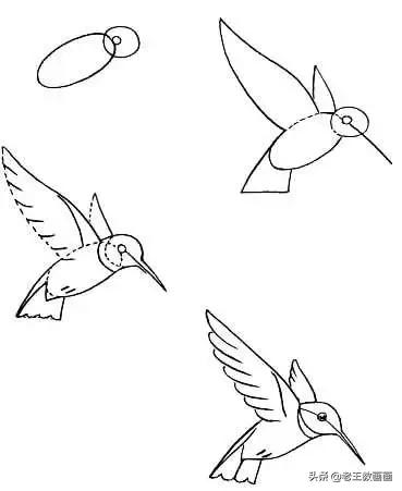 最简单的简笔画教程,超简单儿童简笔画入门初学