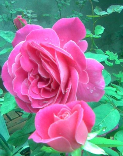 快手文案短句正能量的句子,文案霸气快手热门语录短句