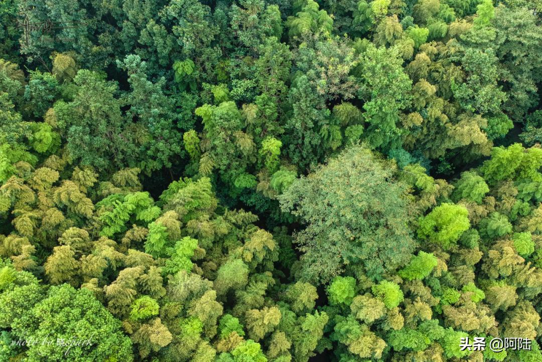 上虞有什么高档的宾馆,上虞宾馆几星级