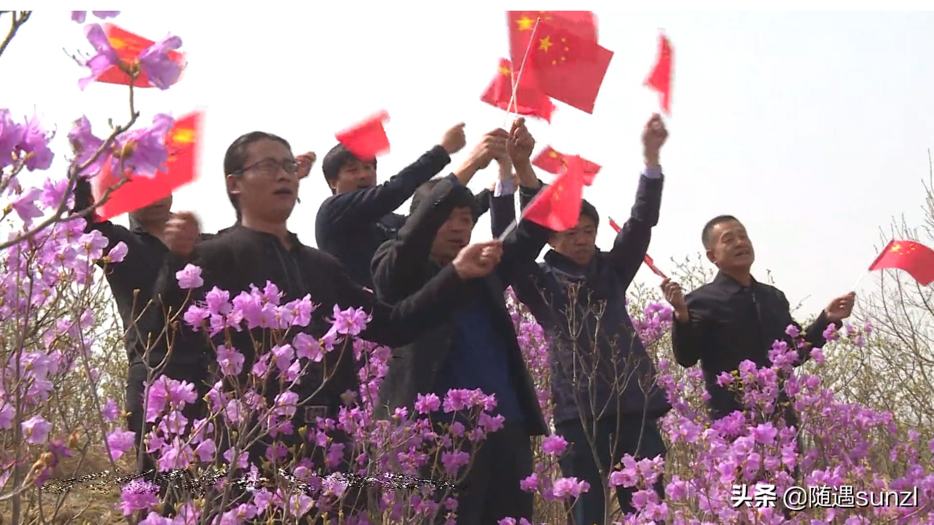 岫岩黄岭子映山红景区简介,岫岩开映山红在哪个地方