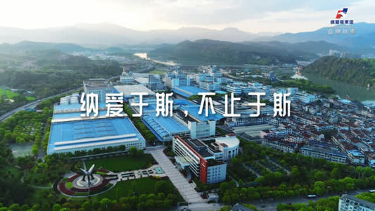 纳爱斯回顾,纳爱斯目前的现状