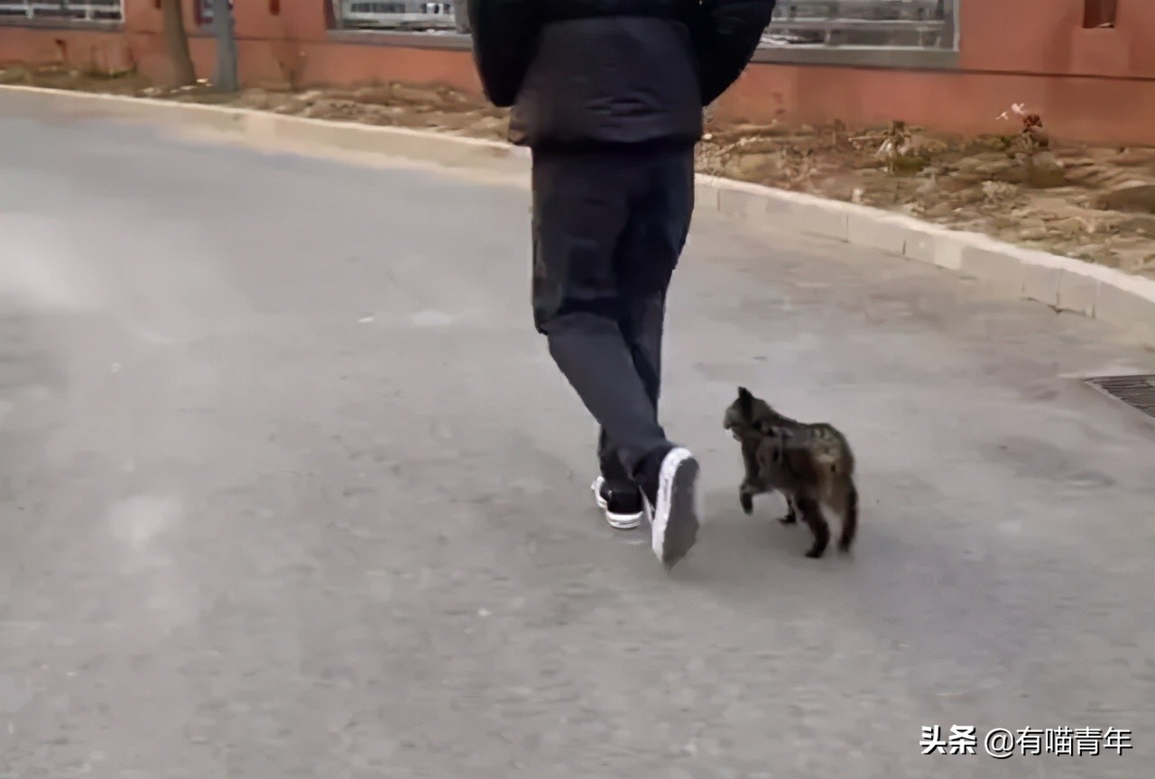 男子报警21岁喜当爹,男子喜当爹做了一件荒唐事