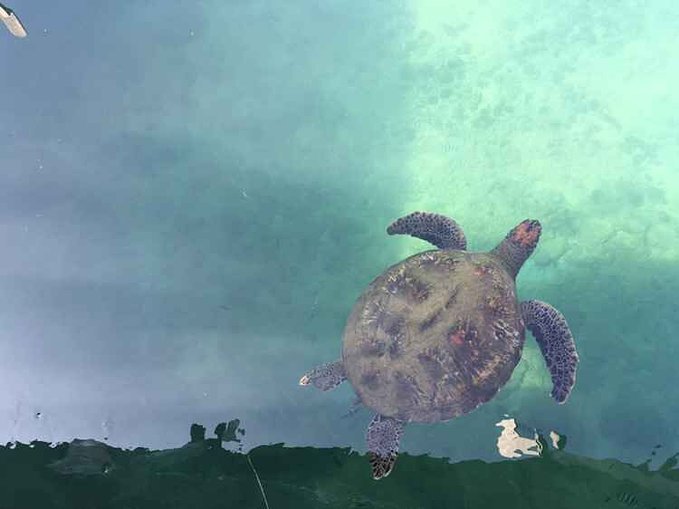 给自己一个度假的理由海南三亚,三亚度假的天堂