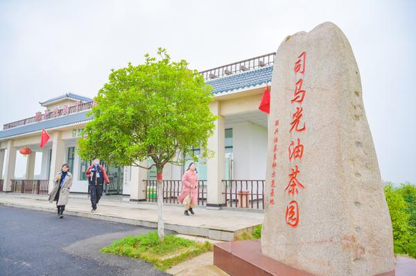 昔日的荒山早已变成了金山银山,昔日荒山变金山