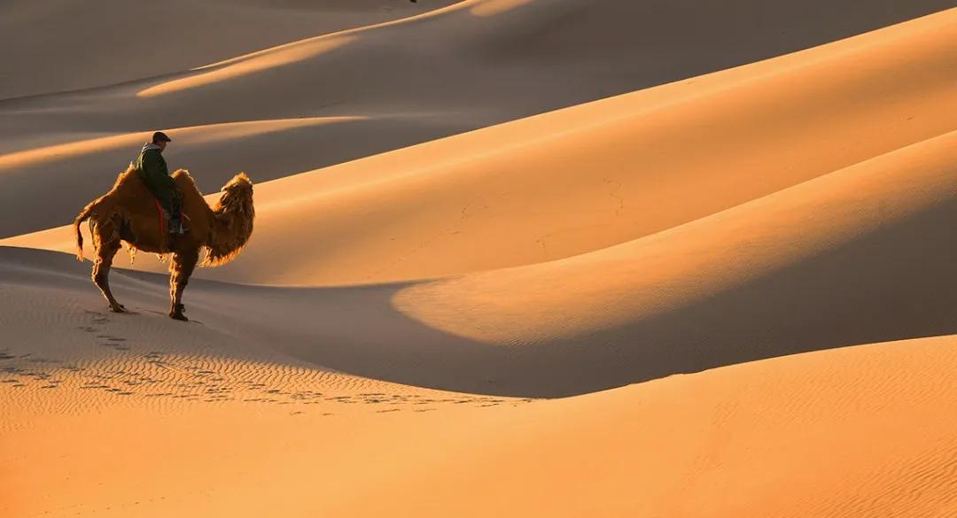 怎样合法查询别人名下的保单,一键查询自己名下保单