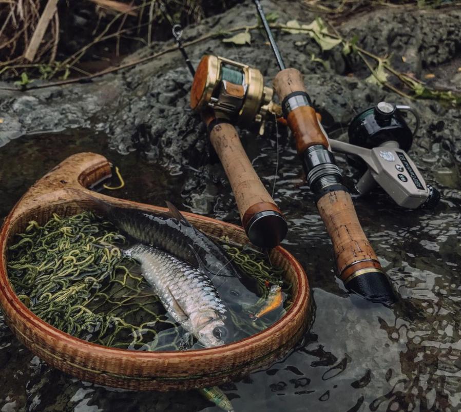 路亚新人避坑指南,路亚新手避坑