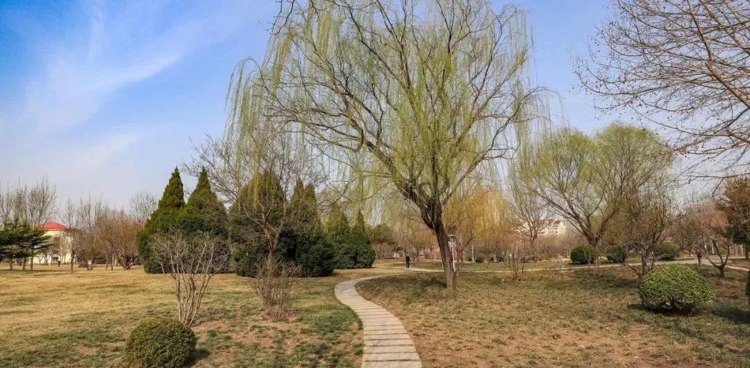 泰安免费公园和踏青好去处,准备好了吗带你畅游河南