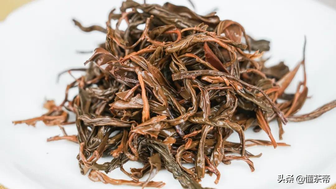 上万株野生古树茶，为何被做成了红茶？