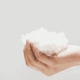 波司登鹅绒立领时装款,波司登鹅绒女装短款