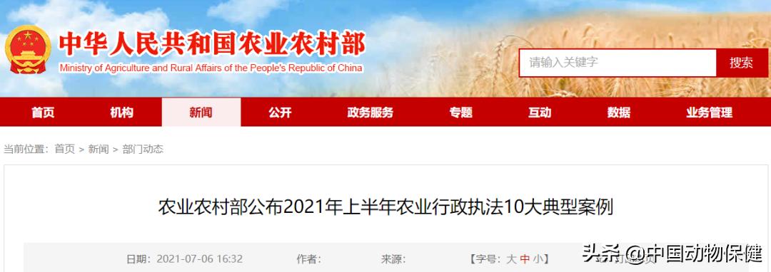 卖假兽药案例分析,如何处理假兽药案件