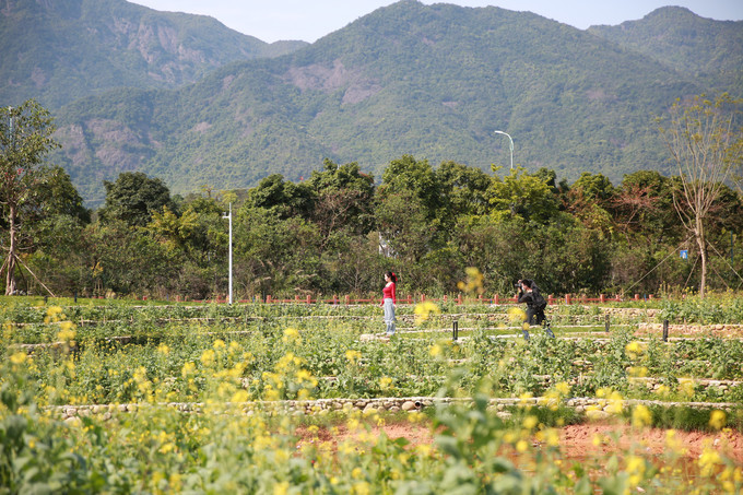 酒店亲子房主题房间,亲子儿童房酒店