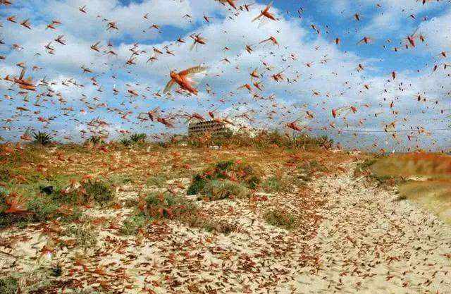 中国疫情一览表2022,中国历史上的重大疫病