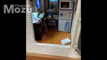 日本造假天才少年，这手艺活可太秀了