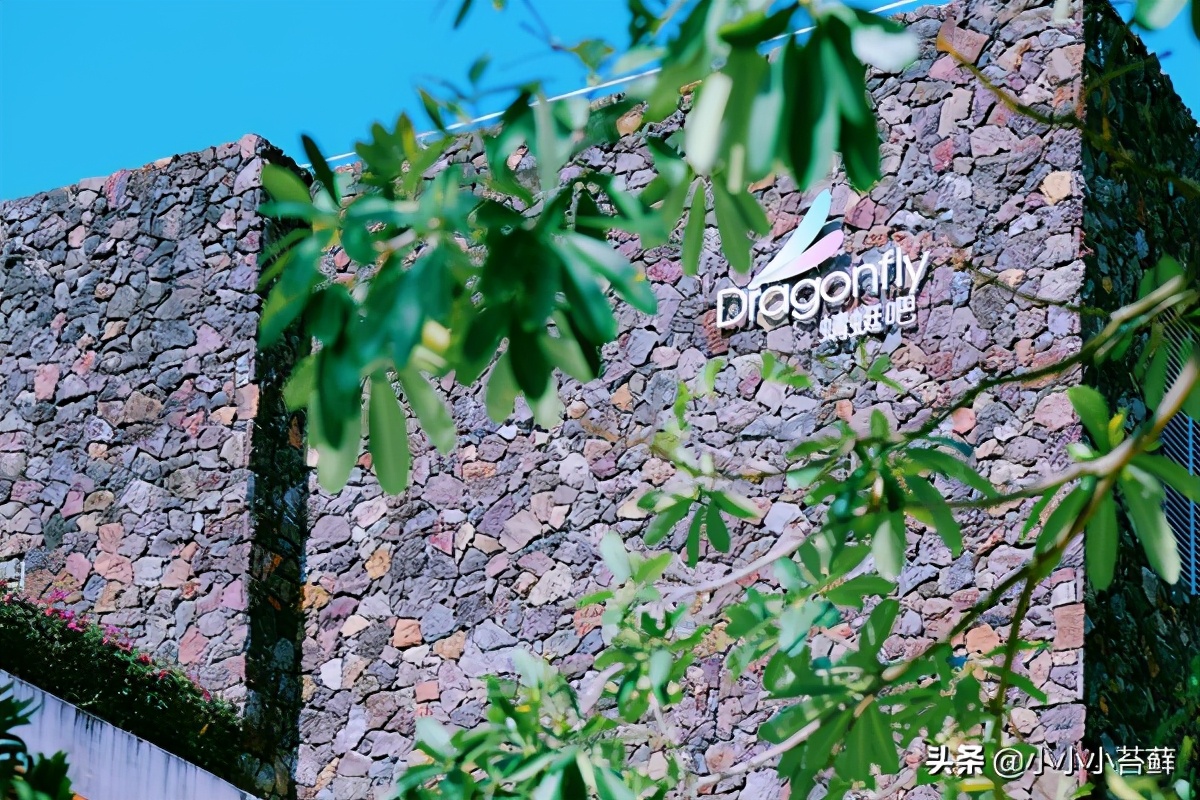 去三亚旅游吃住行全攻略,三亚吃住行