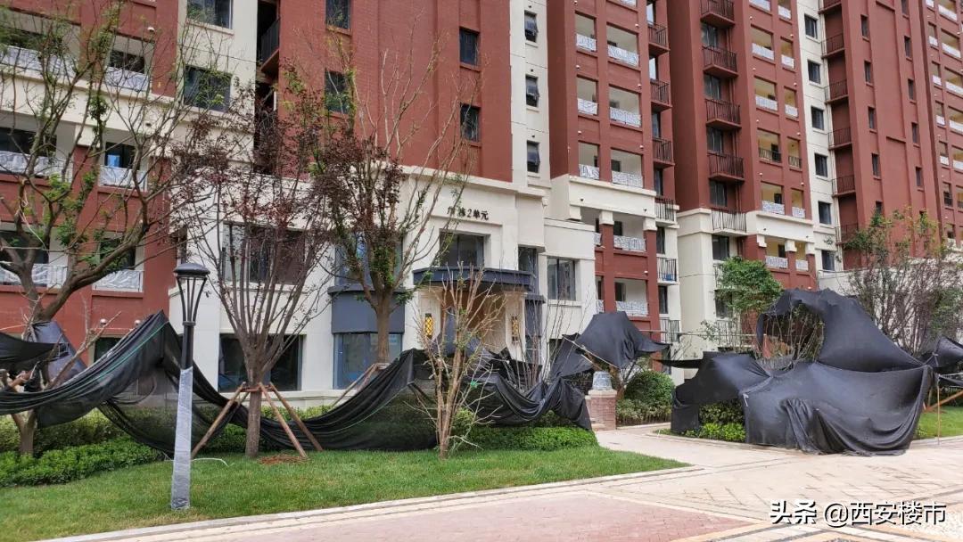 南湖艺境一期小区环境图片,南湖艺境一期详细地址