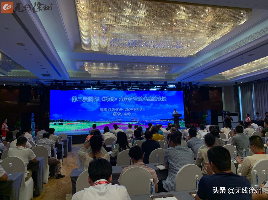 以蒜为媒:第二届国际(邳州)大蒜产业峰会举行