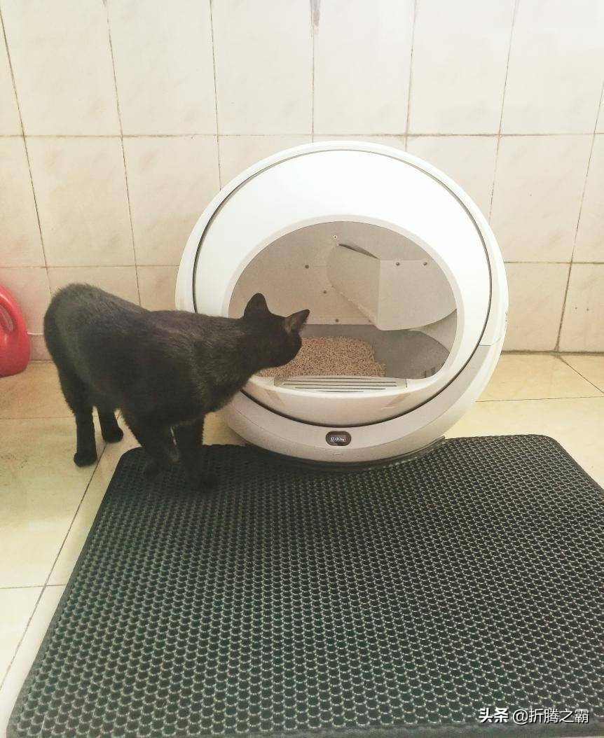 猫洁易catgenie自动清理猫砂盆,猫砂盆自动清洁测评