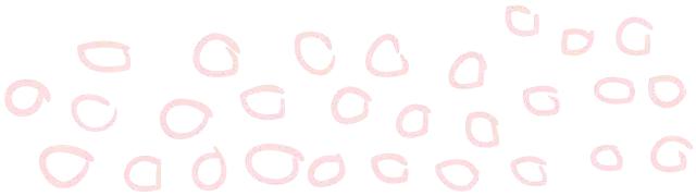 猪猪女生必备100种单品,猪猪女孩本命年必备款