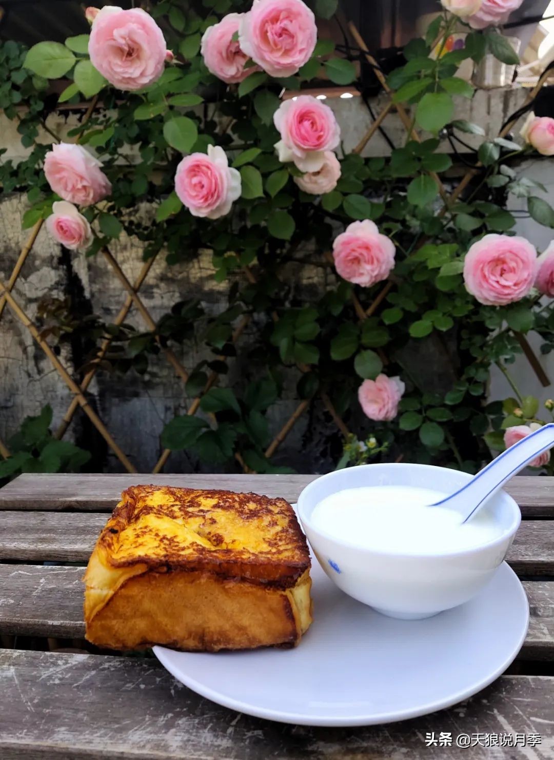 花友家的春花都开爆爆爆了，快来云赏花！（上）