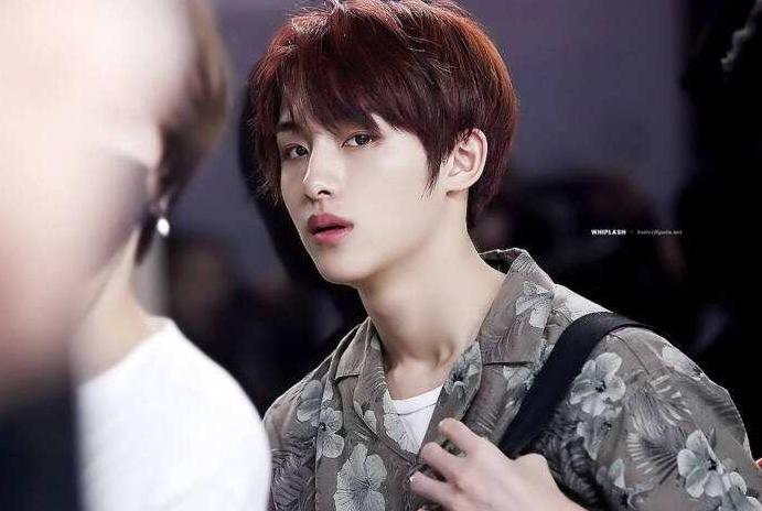 董思成寒冬终将过去,董思成经典