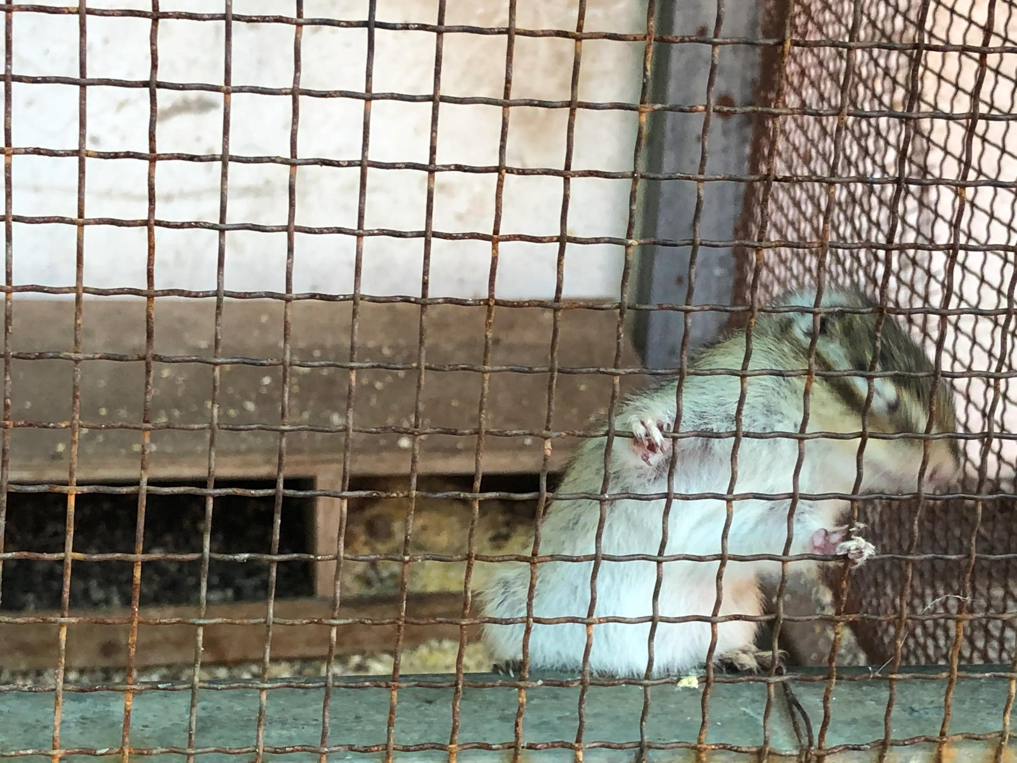 平顶山河滨公园旅游攻略,平顶山森林公园游记