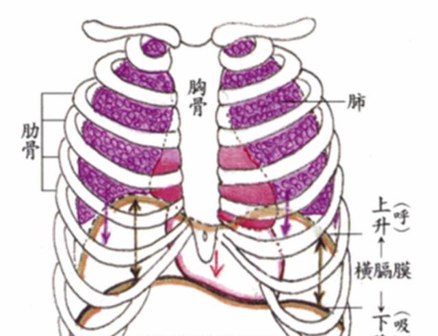 唱歌提气该怎么练习,唱歌上气不接下气怎么练