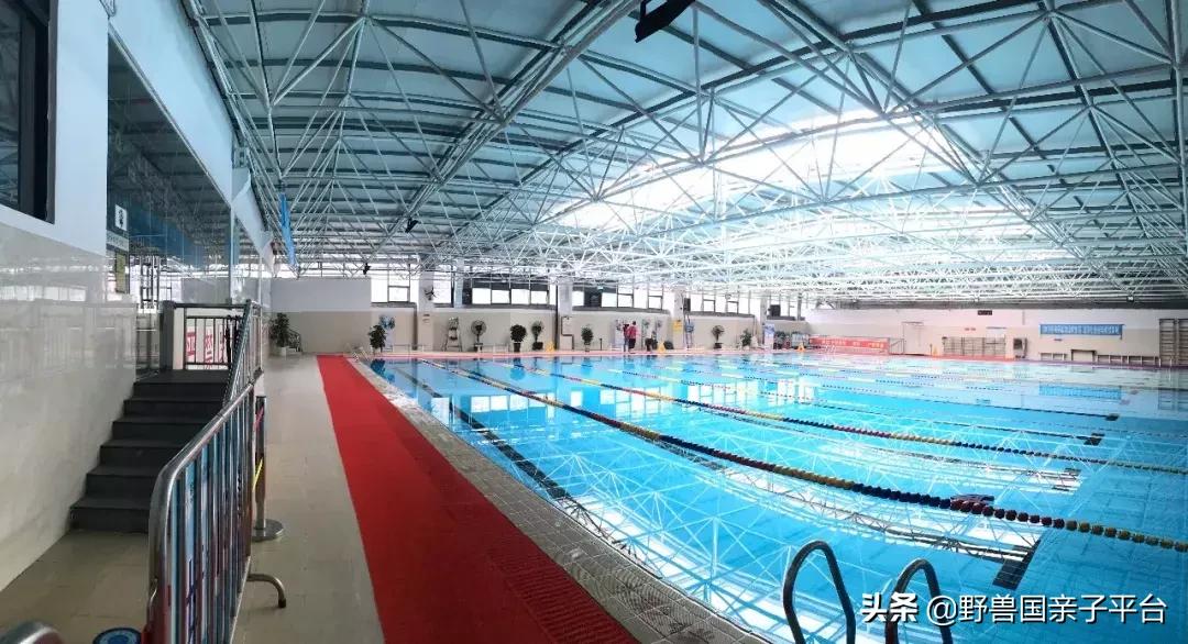 东莞哪里适合小孩子游泳冬天,暑假最适合学习游泳的地方