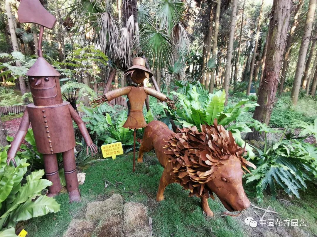 探访花博会的神奇植物,探访第十届花博会的神奇植物