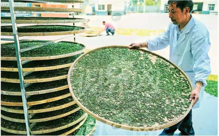 重庆乡土民俗讲解,重庆民俗资料大全