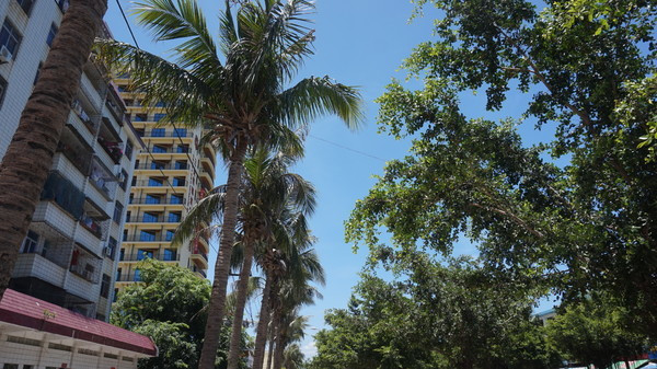 一场一个人说走就走的旅行,来一场旅行开启所有的美好