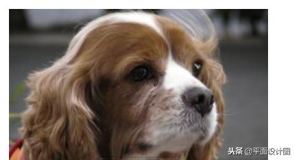 三洋hd2000摄像机测评,三洋hd1000摄像机出片