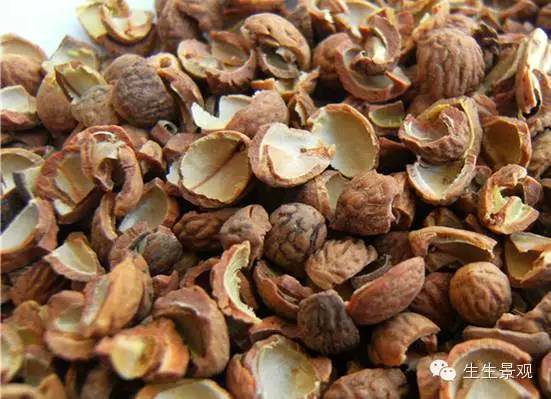 微景观材料的作用,微景观生态材料