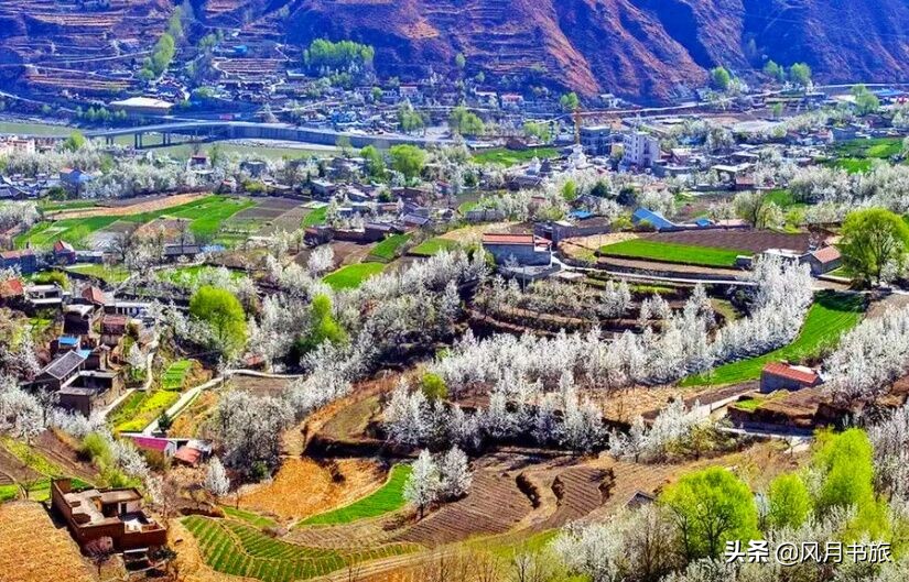 成都出发林芝旅游攻略图,金川梨花节自驾游五日线路图