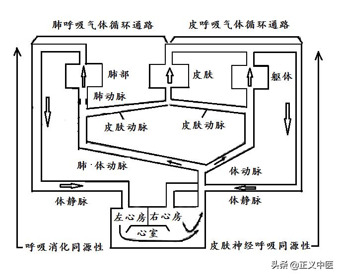 经脉与经脉靠什么相互连接,经脉与经脉的连接