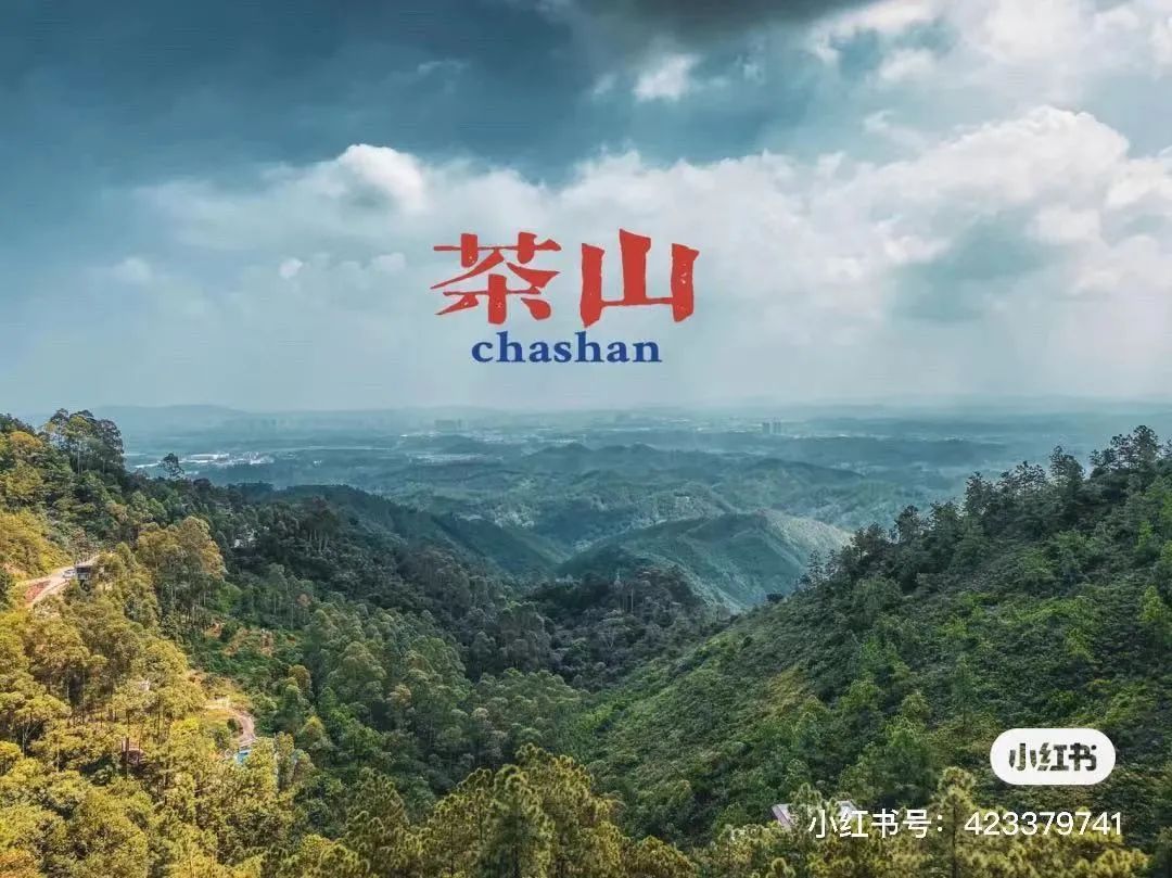 吴彦祖拍的劲爆电影,吴彦祖最新片