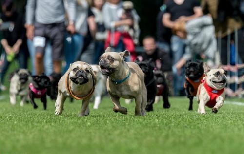 关于德国有哪些鲜为人知的冷知识,关于德国的小知识