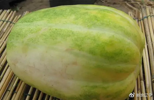 辽宁农产品特产是什么,盘点辽宁农产品有哪些