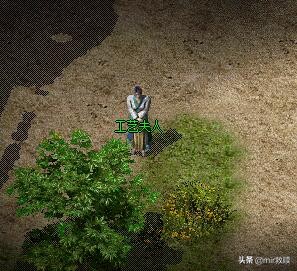 被误解的鸡肋地图（二）——兽人古墓，裁决、凤天魔甲竟这么简单