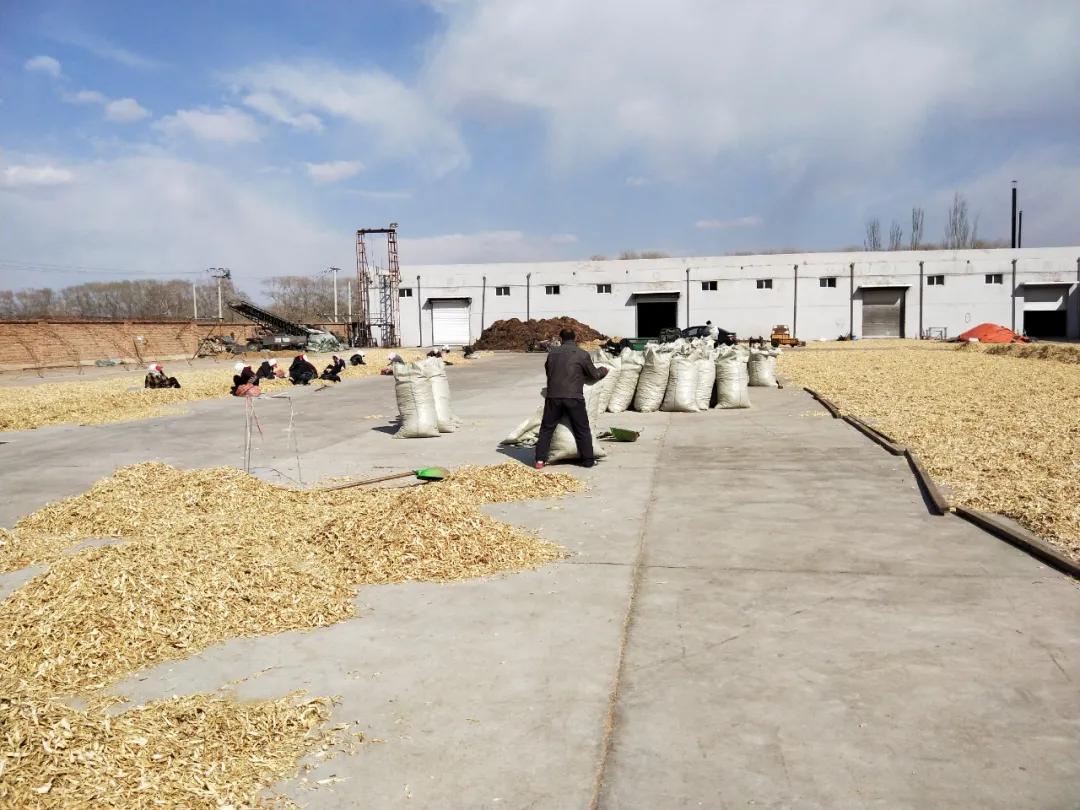 幸福生活到底啥模样,幸福生活到底是什么样的