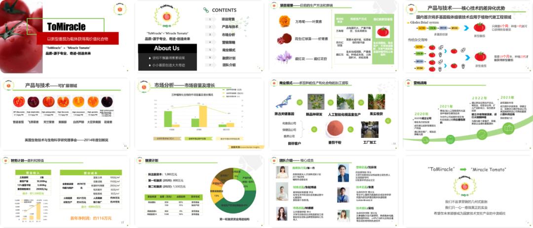 一份让你看了就分泌出口水的PPT，番茄这个点，太绝了