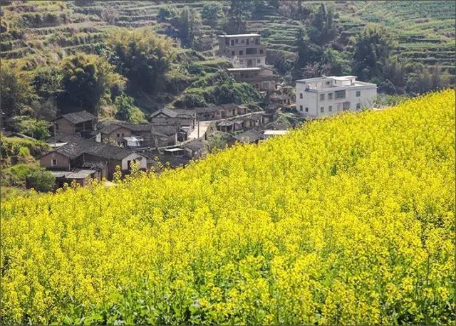广东旅游攻略自驾游最佳路线,广东旅游攻略自驾游带孩子三天
