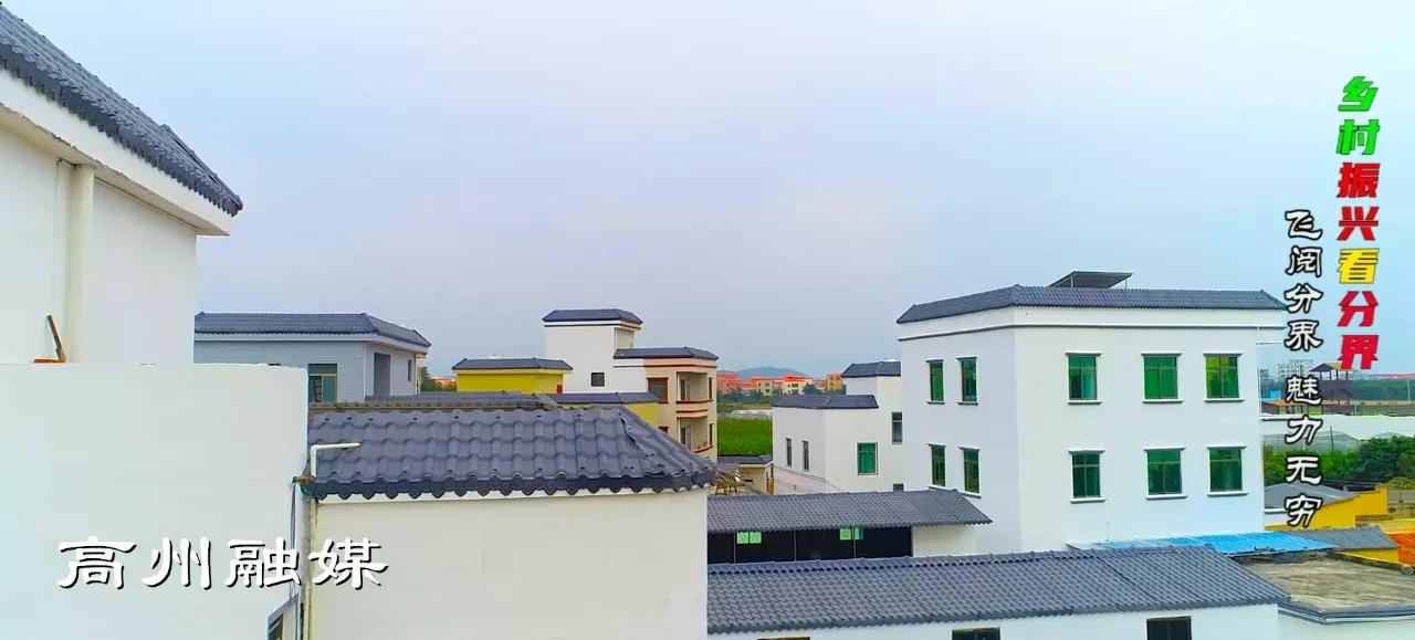 飞阅系列,飞阅新闻最新消息