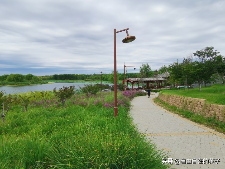 南海子湿地公园攻略,南海子湿地公园分布图