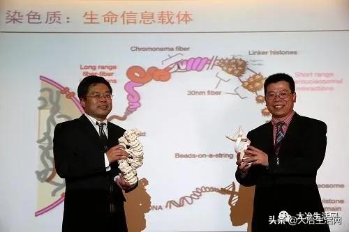 澶у喍浜虹殑楠勫偛,婀栧寳浜虹殑楠勫偛涓轰綘鐐硅禐