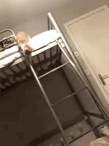 你可能不知道自己有多幸福,有猫陪伴的日子可真幸福