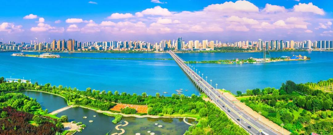 兰山绘画,兰山工笔画