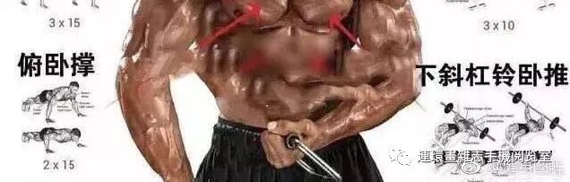 健身看图识物,健身看网上的教学视频